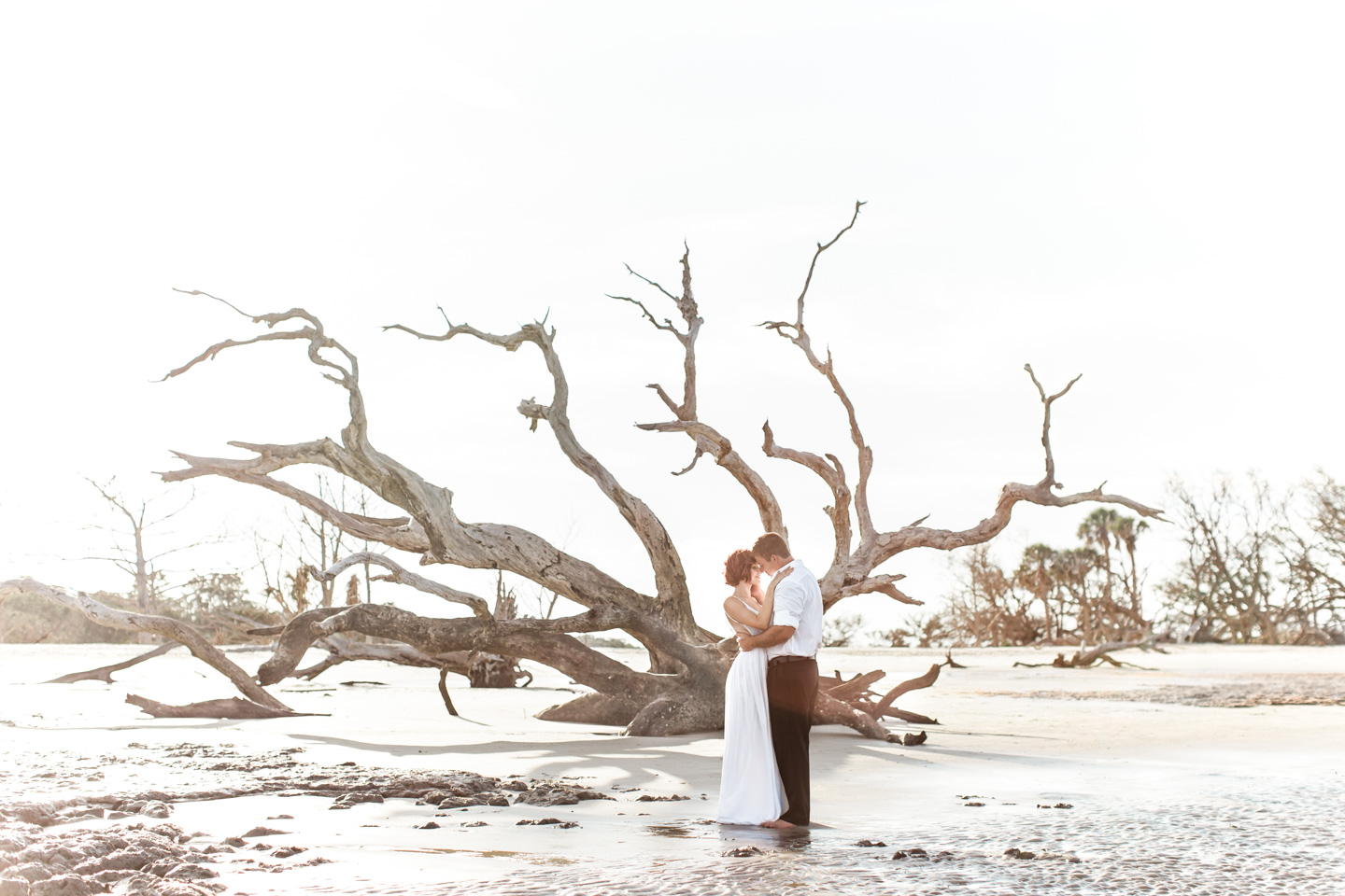 Romantic Driftwood Beach Wedding Photography
