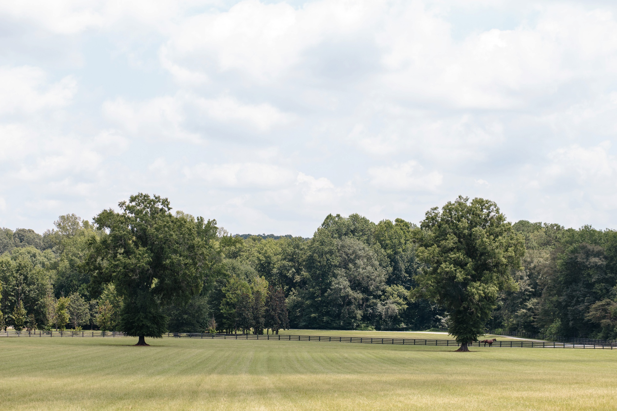 The landscape at Foxhall Sporting club is nothing short of perfection and beautiful setting for your luxury wedding. Photograph by Foxhall Wedding photographer Rebecca Cerasani.